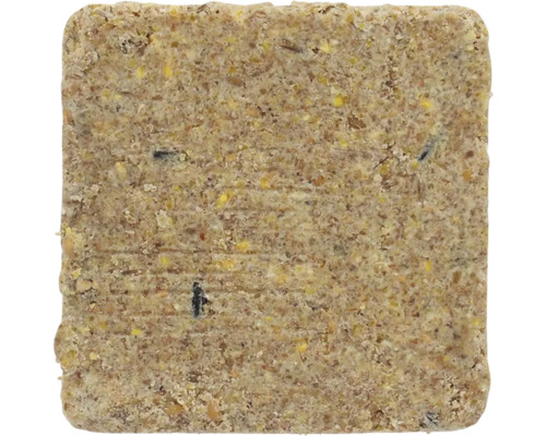 Fågelmat Suet block bird feed