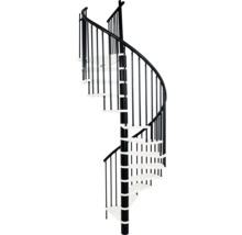 Metallisk spiraltrappa med räcke