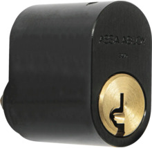 ASSA ABLOY cylinder