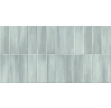 Rektangulära väggplattor, blank yta