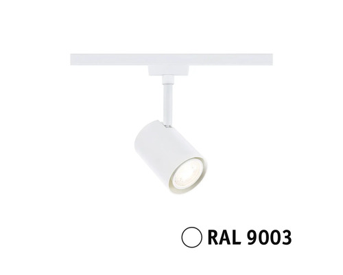 Skenspot för takmontering