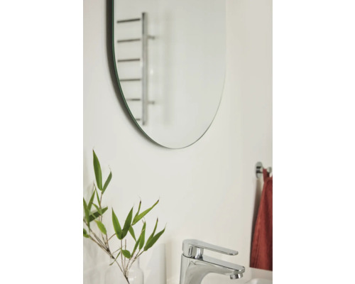 Oval spegel med armatur och växt i badrum