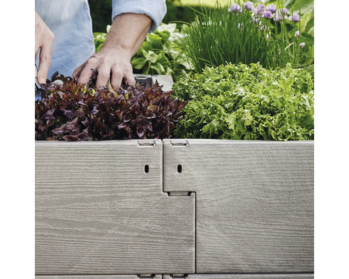 Person planterar sallad och gräslök i upphöjd rabatt