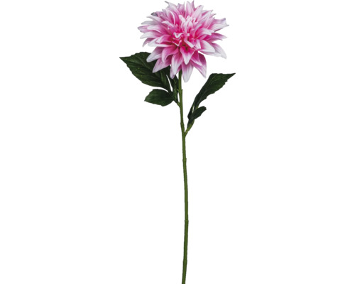 Konstväxt Dahlia kvist 53cm rosa