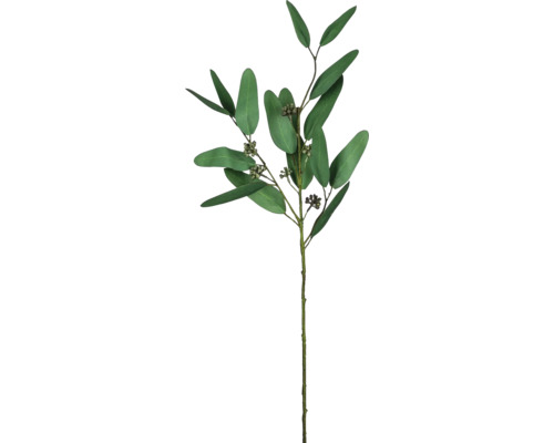 Konstväxt Eukalyptus kvist med bär 66cm