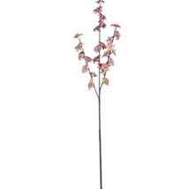 Dekorativ prydnadsblommig gren med blommor