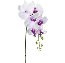 Konstgjord orkidé med vita blommor och lila accenter
