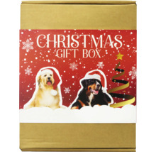 Julklappsförpackning med hundillustration