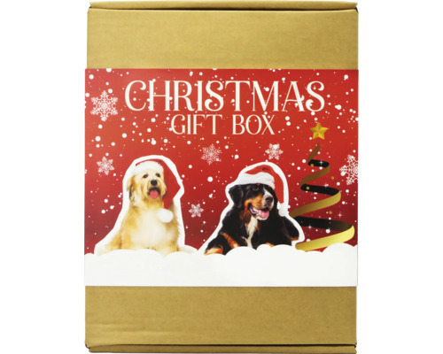 Hundgodis TREATEATERS X-mas Gift Box