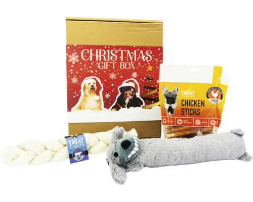 Julklappsset för hundar med leksaker och snacks