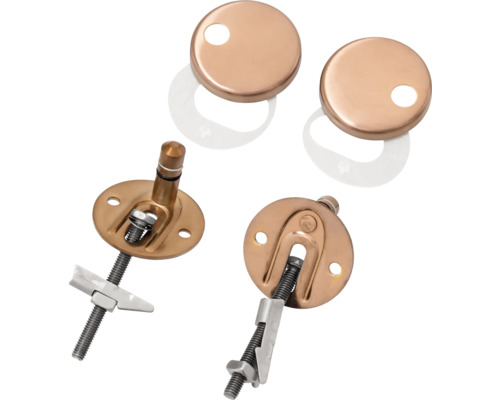 Toalettsitsfästsats med skruvar och lock