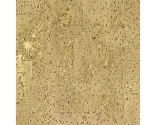 Korkgolv GRANORTE Naturtrend Element Rustic Närbild av en korkskiva med naturlig textur