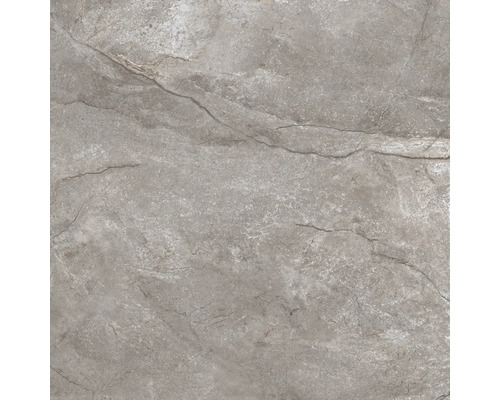 Grått golvkakel med stendekor