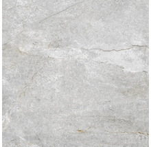 Grå keramikplatta med matt yta