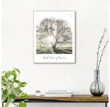 Inramad bild med ett träd i soluppgången och texten God morgon