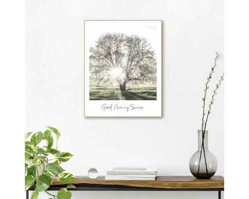 Inramad bild med ett träd i soluppgången och texten God morgon