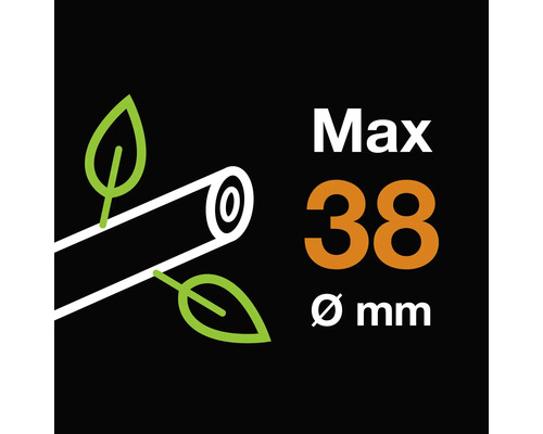 Maximal grenstorlek 38 millimeter