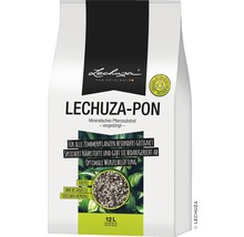 Lechuza | Växter, krukor & odling