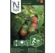 Tomatfrö NELSON GARDEN Balconi Red kruktomat