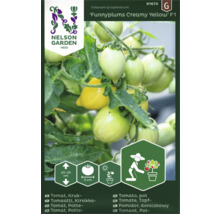 Tomatfrö NELSON GARDEN Funnyplums Creamy Yellow F1 kruktomat