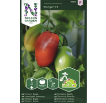 Tomatfrö NELSON GARDEN Ranger F1 busktomat