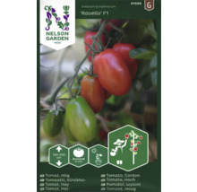 Tomatfrö NELSON GARDEN Ravello F1 hög