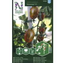 Förpackning med Solanum lycopersicum Shimmer F1 tomatfrön