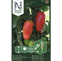 Tomatfrön Agro F1