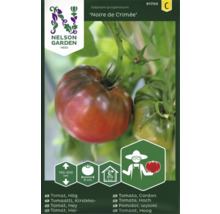 Noire de Crimée tomatplanta