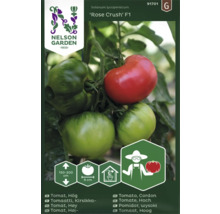 Rose Crush F1 tomatplanta