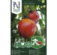 Tomatfrö NELSON GARDEN Coeur de Boeuf hög