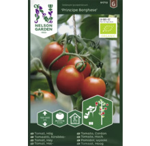 Ekologiska tomatfrön NELSON GARDEN Principe Borghese organic hög