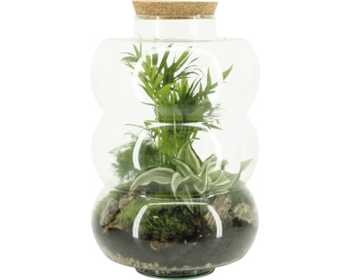 Flaskträdgård FLORASELF Bottlegarden Elsa 35cm Ø21cm Terrarium med växter och korklock