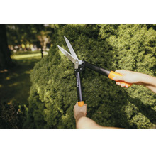 En person klipper en häck i trädgården med en häcksax. Varumärke: Fiskars.