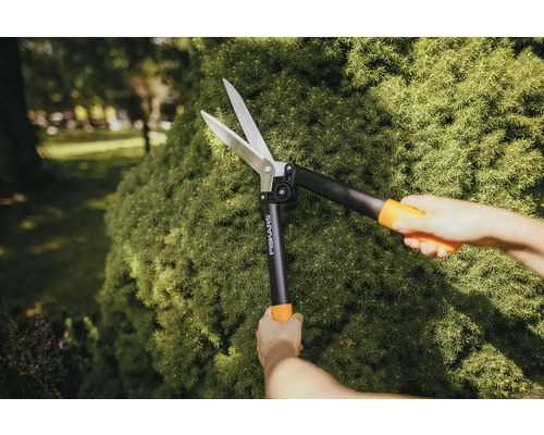 En person klipper en häck i trädgården med en häcksax. Varumärke: Fiskars.
