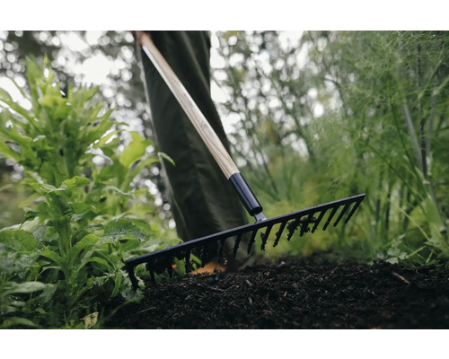 Trädgårdsräfsa med träskaft används i en trädgårdsbädd.