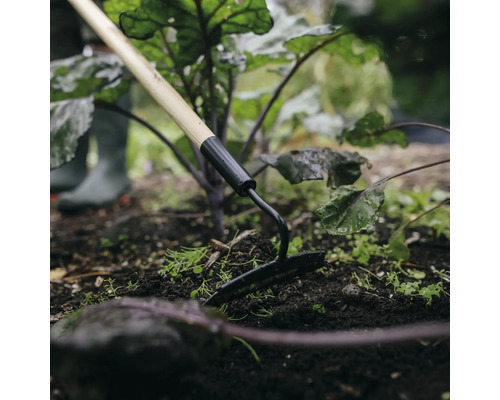 Trädgårdshacka med träskaft som används i rabatten