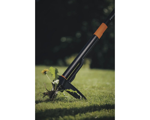 Ogräsjärn i bruk, tar bort en enda blomma från gräsmattan