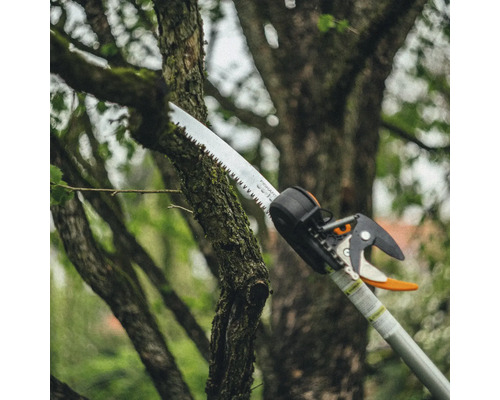 Grenkap beskär en trädgren