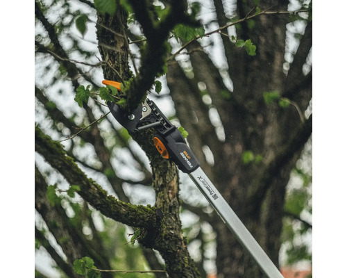 Grenkap beskär en gren