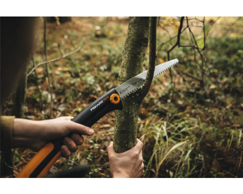 En person sågar av en gren med en handsåg.