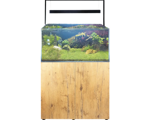 Akvarium med underskåp och växter