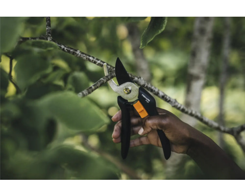 En hand beskär en gren med en sekatör från Fiskars.