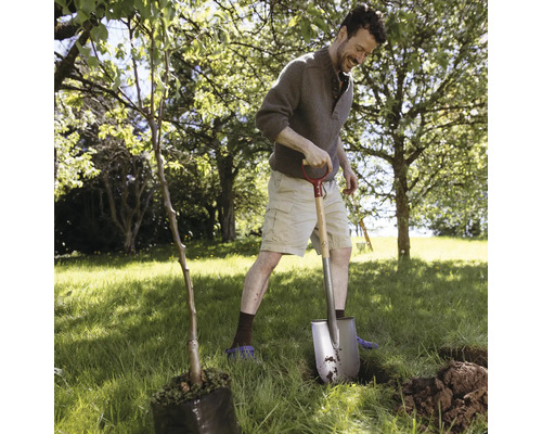 Man planterar träd med spade i trädgården.