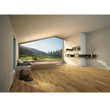 Ljust rum med trägolv, stort fönster med utsikt över ett grönt landskap, bokhyllor och vandringstillbehör