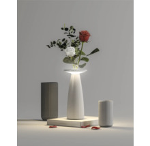 Dekorativ scen med upplyst vas, blommor och keramikkrukor.