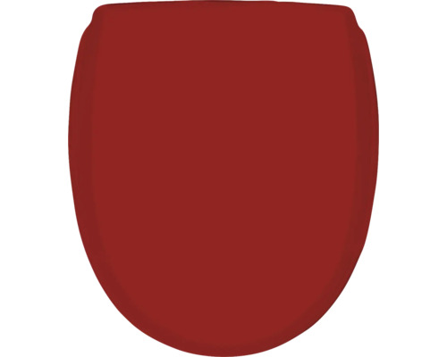 Toalettsits av plast