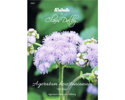 Blomfrö WEIBULLS Ageratum 'Tall Blue'