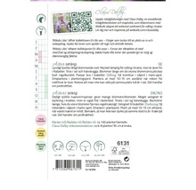 Information om plantering och skötsel av Aster sommarblommor