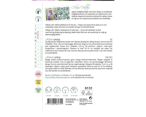 Information om plantering och skötsel av Aster sommarblommor